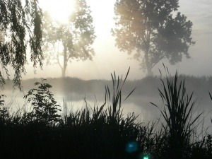 De Delft te Assendelft.jpg