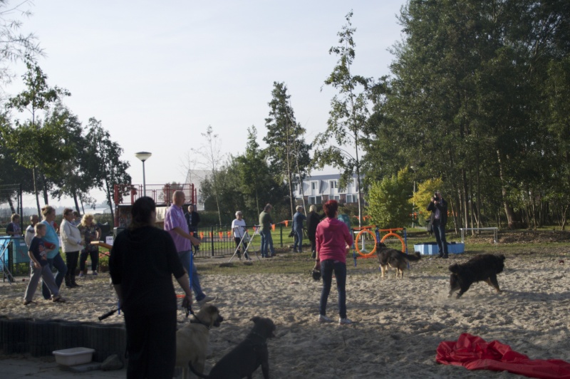 Bestand:Woeffestival.jpg
